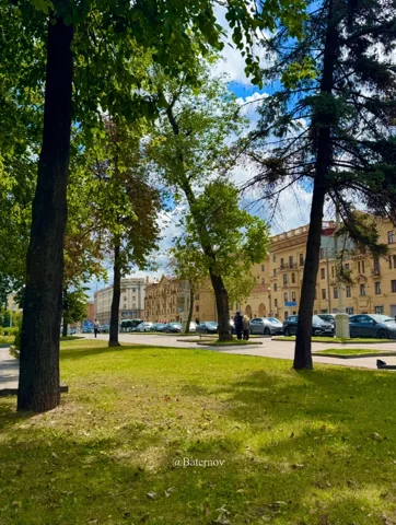 Sonnige Bäume neben einem breiten Stadtgebäude