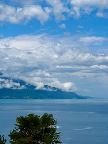 Wolken über ruhigem See mit einer Palme im Vordergrund