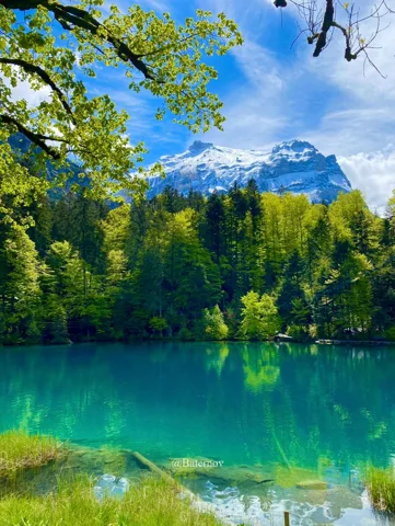 Türkisfarbener See zwischen belaubten Bäumen