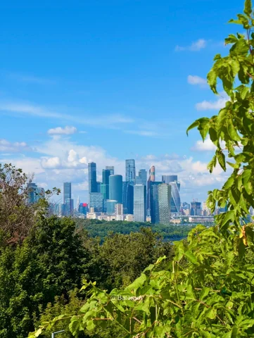 Ferne Wolkenkratzer über einem belaubten Park