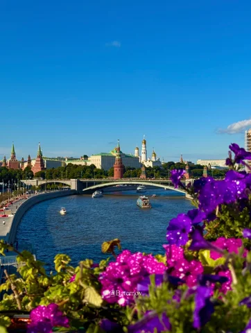Blumen mit Blick auf Fluss, Brücke und historische Skyline