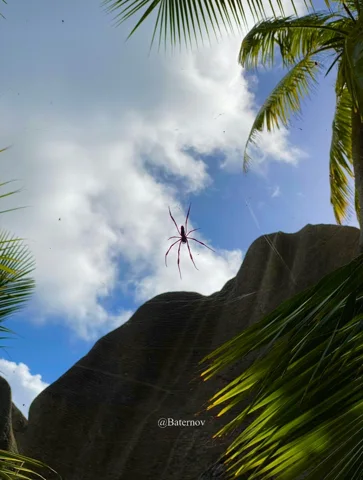 Palmwedel um eine dunkle Felsformation