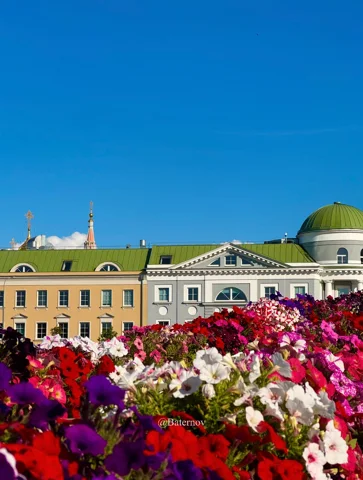 Buntes Blumenbeet vor einem hellen öffentlichen Gebäude