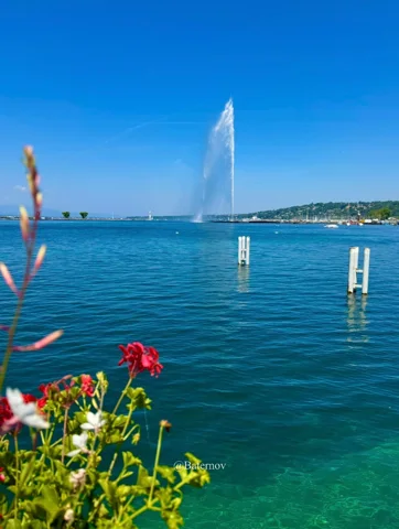 Blumen am See mit hohem Springbrunnen in der Ferne