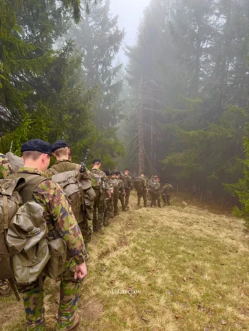 Soldatenreihe neben einem nebligen Wald